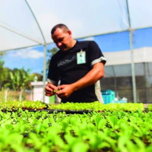 Doe para APAC de Almenara