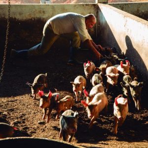 Doe para APAC de Araxá